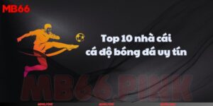 Top 10 nhà cái cá độ bóng đá uy tín nhất trong năm 2024